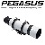 4. [정품] Pegasus 80S 가이드망원경